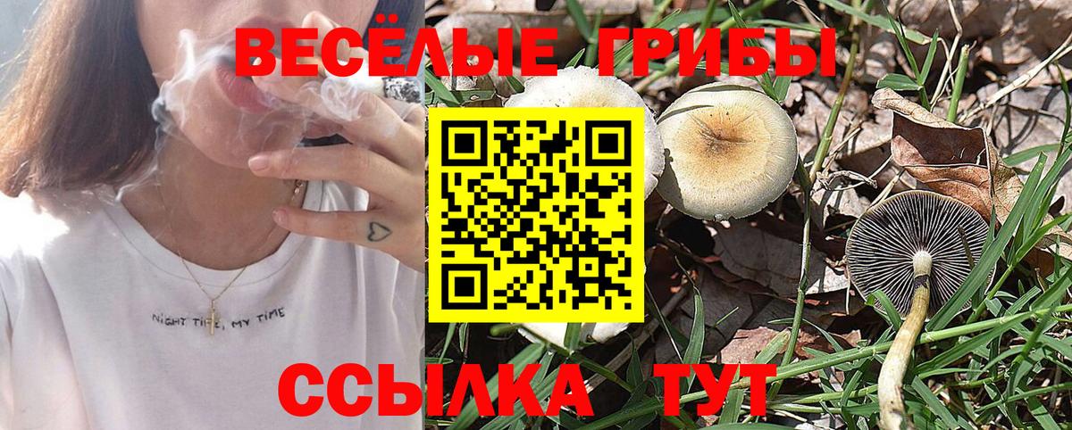 Псилоцибиновые грибы ЛСД Химки
