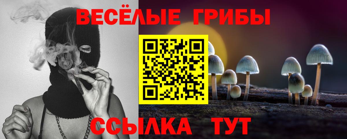 Галлюциногенные грибы GOLDEN TEACHER  Вход с VPN  Химки 